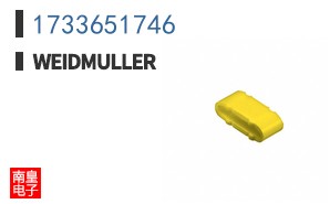 1733651746