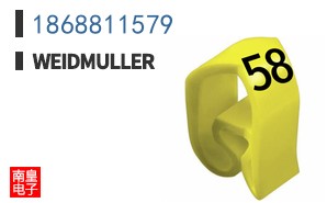 1868811579