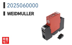 2025060000