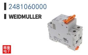 2481060000