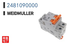 2481090000