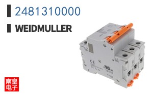 2481310000