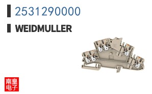 2531290000