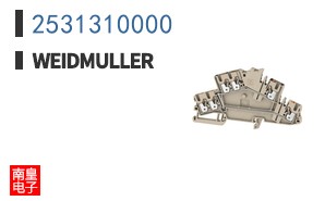 2531310000