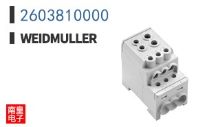 2603810000