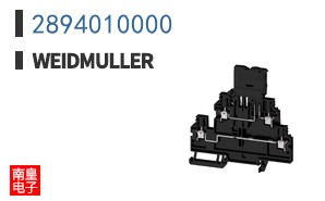 2894010000