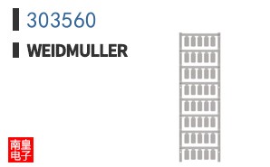303560