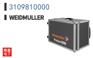 3109810000