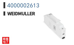4000002613
