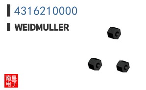 4316210000