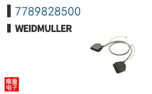 7789828500