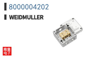 8000004202