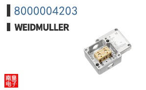 8000004203