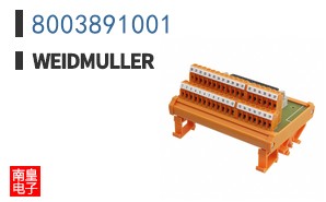 8003891001