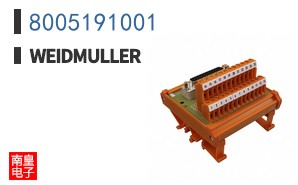 8005191001