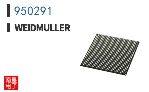 950291