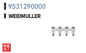 9531290000