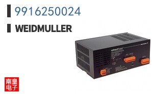 9916250024