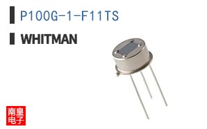 P100G-1-F11TS