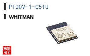P100V-1-C51U
