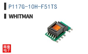 P117G-10H-F51TS