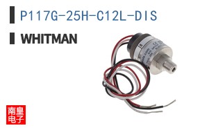 P117G-25H-C12L-DIS