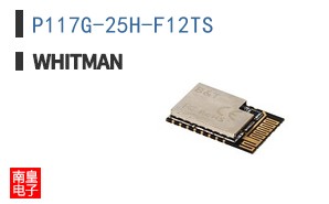 P117G-25H-F12TS