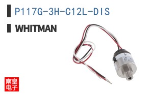 P117G-3H-C12L-DIS