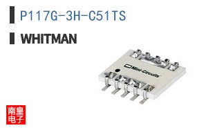 P117G-3H-C51TS