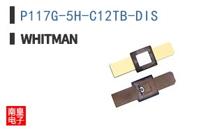 P117G-5H-C12TB-DIS
