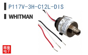 P117V-3H-C12L-DIS