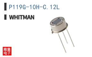 P119G-10H-C.12L