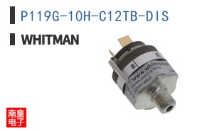 P119G-10H-C12TB-DIS