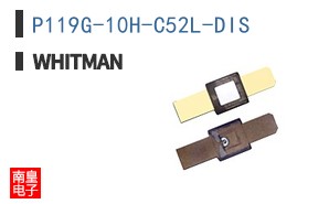 P119G-10H-C52L-DIS