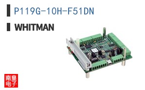 P119G-10H-F51DN
