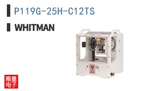 P119G-25H-C12TS
