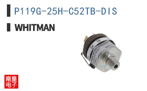 P119G-25H-C52TB-DIS