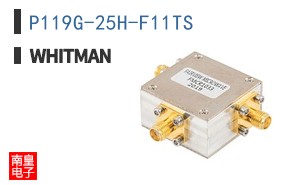 P119G-25H-F11TS
