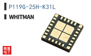 P119G-25H-K31L
