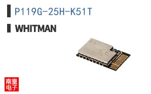 P119G-25H-K51T