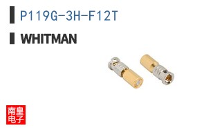 P119G-3H-F12T