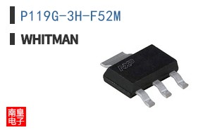 P119G-3H-F52M