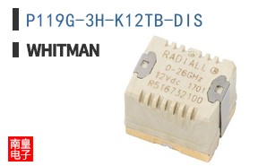 P119G-3H-K12TB-DIS
