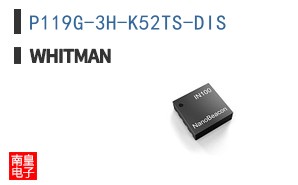 P119G-3H-K52TS-DIS
