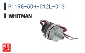P119G-50H-C12L-DIS