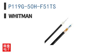 P119G-50H-F51TS