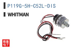 P119G-5H-C52L-DIS