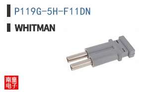P119G-5H-F11DN