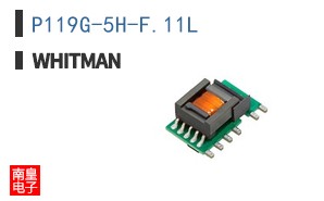 P119G-5H-F11L