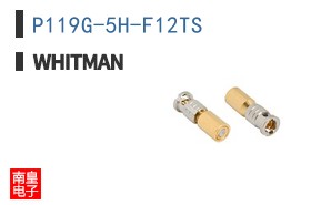 P119G-5H-F12TS